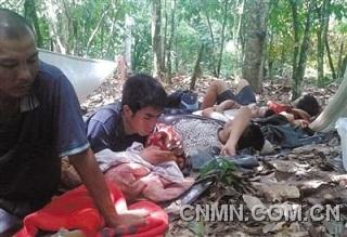為躲避加納軍警，一些中國采金者在附近的可可樹林躲藏。本版圖片由中國采金者提供