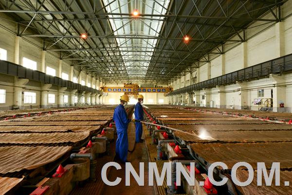 豫光玉川冶煉廠電解工段共有電解槽420槽，年產(chǎn)高純陰極銅12萬噸。車間自投產(chǎn)以來持續(xù)推進(jìn)5S現(xiàn)場管理和精細(xì)化管理，作業(yè)現(xiàn)場整潔有序，工藝指標(biāo)持續(xù)改進(jìn)，A級銅產(chǎn)出率處于國內(nèi)領(lǐng)先水平，成本指標(biāo)持續(xù)下降，處于同行業(yè)先進(jìn)水平。內(nèi)在指標(biāo)超過國標(biāo)99.9935%，外在一次合格率95%以上 。圖為電解工段槽面工車間職工進(jìn)行槽面灑水沖洗銅排作業(yè)。