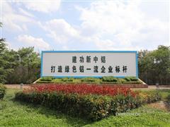 以含“綠”量提升含“金”量——云鋁股份品牌建設(shè)工作綜述